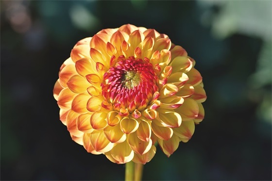 请勿乱认垃圾的公共场所标语句子锦集六十六条