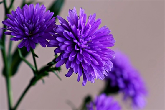 描写小草的句子优美段落精选38句