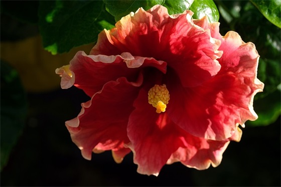 关于微风的优美句子精选45条