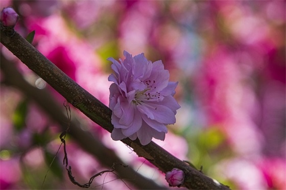 群发短信给客户的句子精选