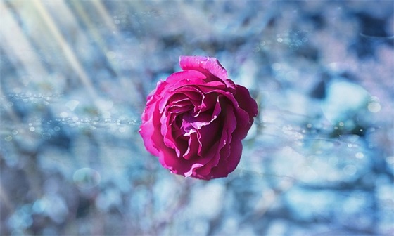 放下手机珍惜陪伴父母时光的霸气句子