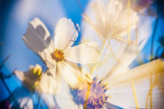 软妹名字仙气女孩子都名字(精选132个)