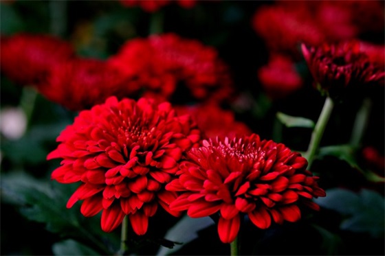 王者荣耀最欠揍的情侣网名(74个)