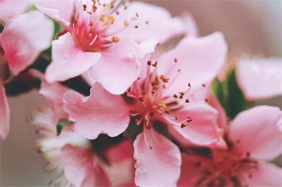 有个性的闺蜜网名大全