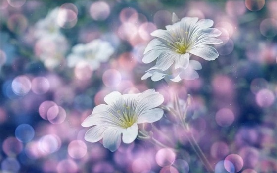 那些带有寓意的神仙网名