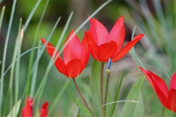 跟胖有关系的可爱名字(125个)