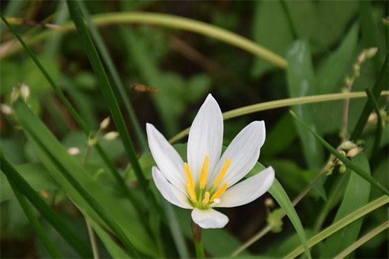 小俩口的qq网名(精选75个)