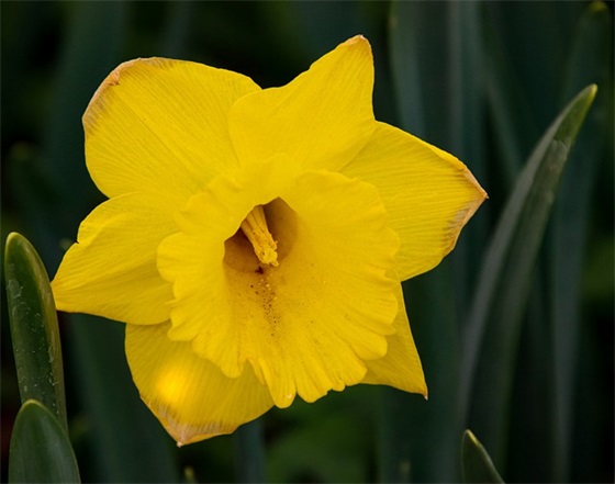 微信爱情英语网名