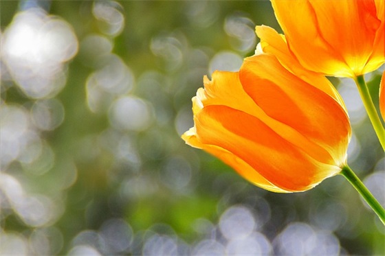 网名| 高级好听的温柔网名集