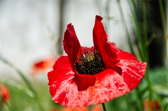 微信网名长一点的名字