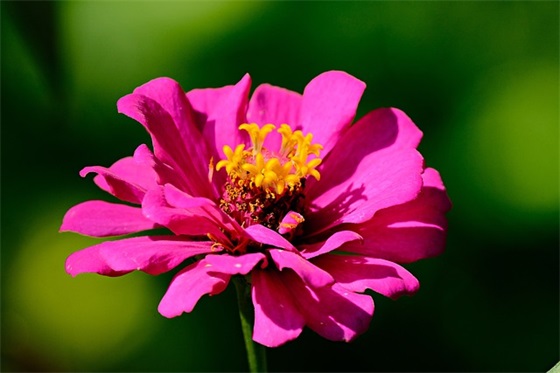 关干爱情的QQ网名