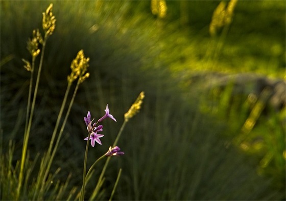 微信网名给不了的承诺