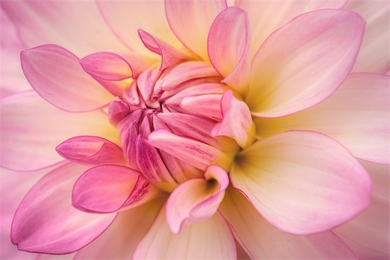 微信孤独网名繁体字