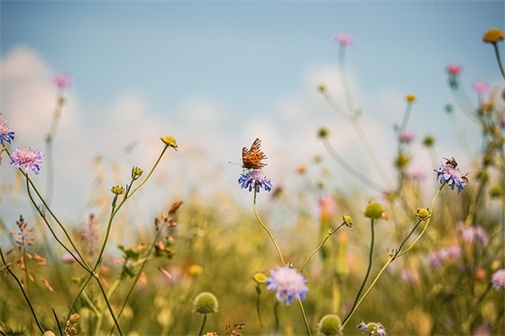 微信自强自立的网名