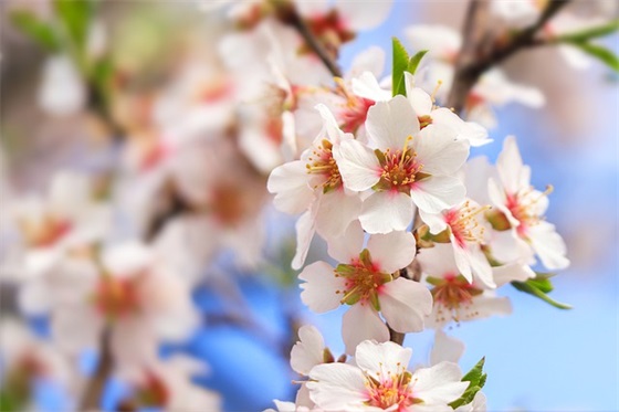 微信网名女生成熟