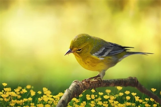 非主流女生网名大全,非主流女生网名超拽【集锦80句】