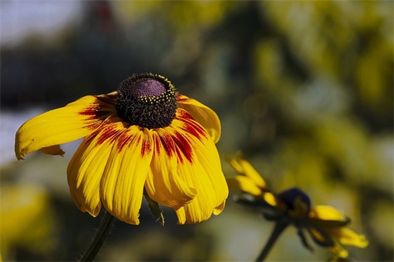 高雅有内涵的微信名字（高雅有内涵的微信名字大全）