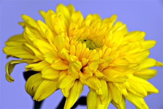 带邂逅的四字网名