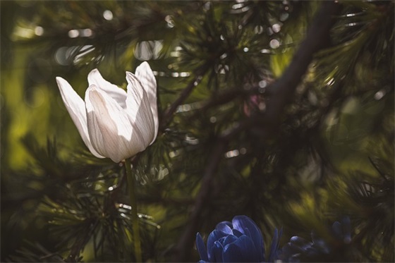 带缤铲的网名昵称