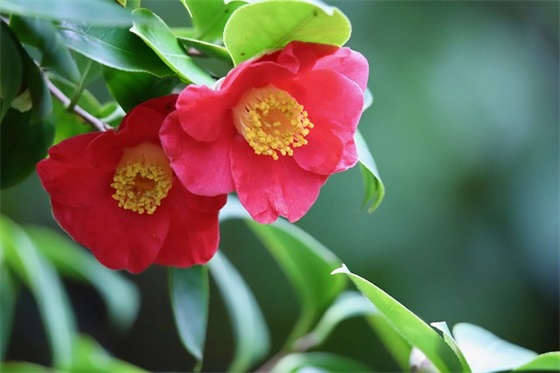 带忡侃的网名昵称