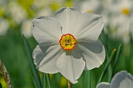 关于六一的句子