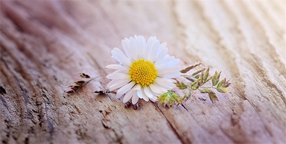 形容亲人去世心情悲痛的句子(40条)