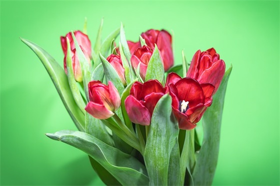 异地恋分手后特别想念一个人的句子通用41句