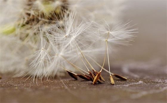 心情低谷的句子