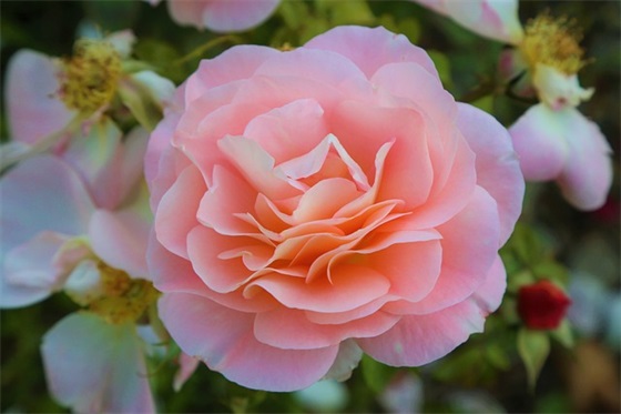 和情侣吵架后内心难受的句子