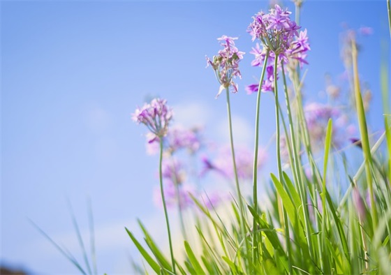 珍惜当下的优美句子50句