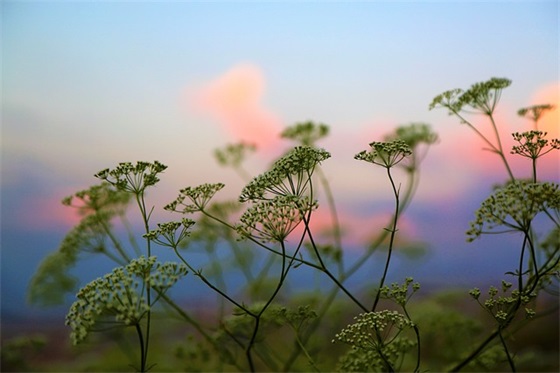 形容漫漫长夜的句子