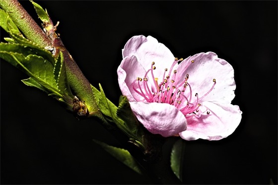 悲伤逆流成河句子简短