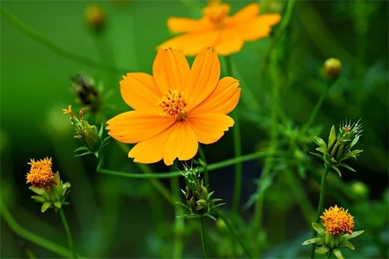 24个字的经典句子