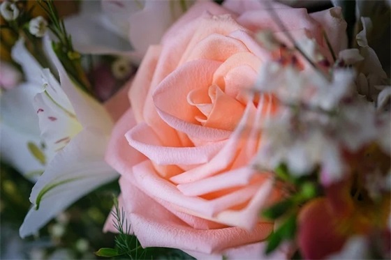 英语优美句子摘抄简短(汇总71条)