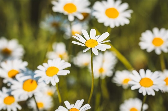 一切靠自己的霸气句子集锦