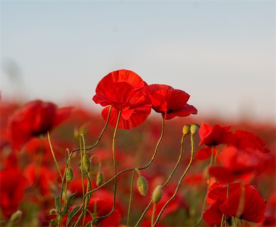 离婚正能量心情句子(27条)