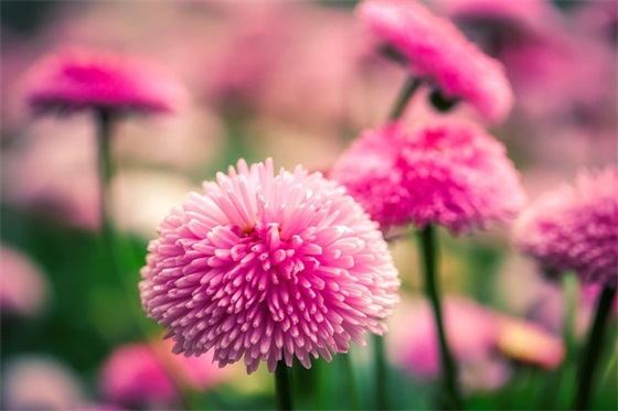 保持一颗平常心的句子 平常心对待一切的句子 保持一颗平常心的句子 平常心对待一切的句子