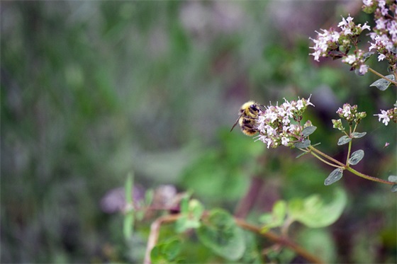 母亲节感恩妈妈的简短句子(锦集35句) 母亲节感恩妈妈的简短句子(锦集35句)