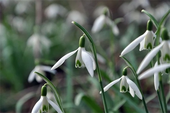 描写雨景的优美句子40条