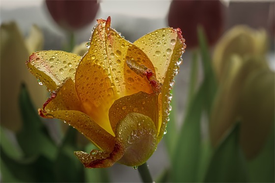 心情舒畅美美哒句子说说