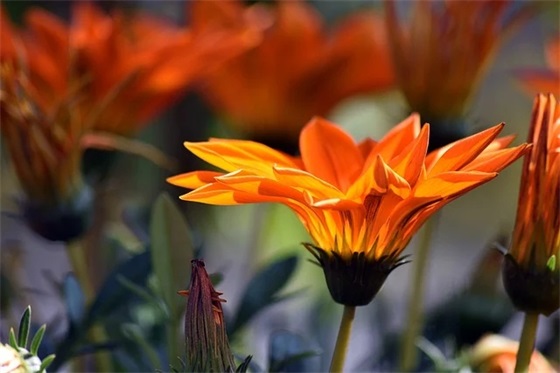 青春励志的优美句子简短42句