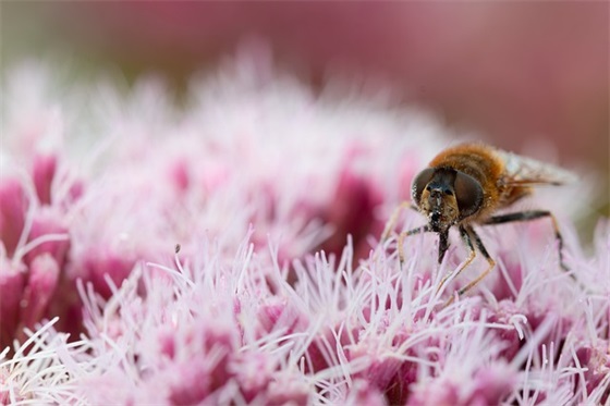 写给自己的话简短250句 写给自己的话简短250句