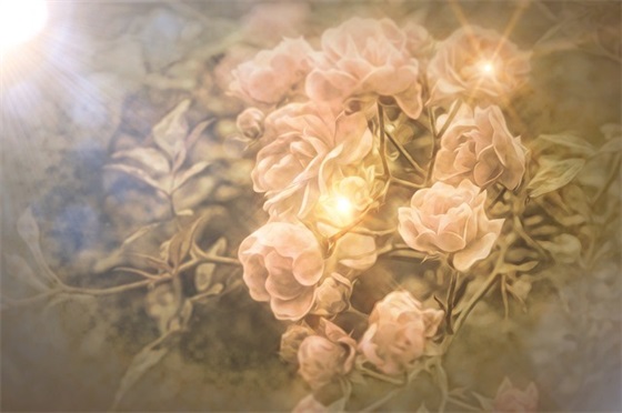 网易云热评最经典的情感句子四十条 网易云热评最经典的情感句子四十条