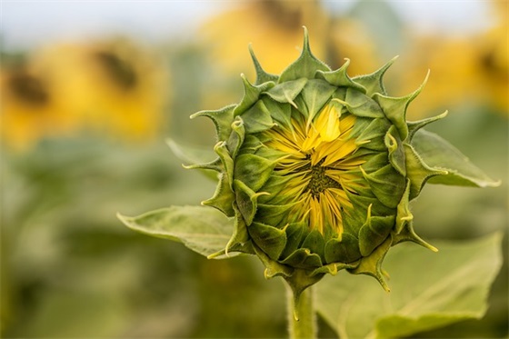 当年非主流杀马特签名经典语录