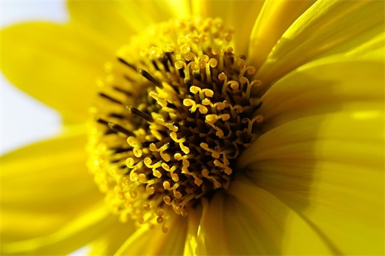 形容好久不见的优美句子经典语录（精选40句）