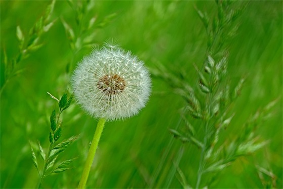 含蓄的表达讨厌一个人的经典语录集合40条