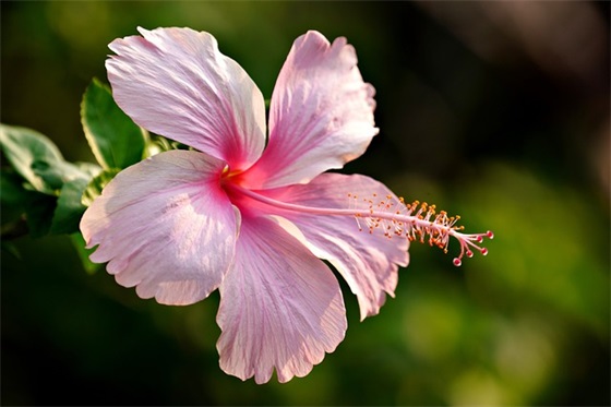 淘宝客服自动回复的神仙句子摘录四十句