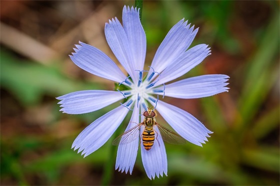 可爱吸引人的自动回复神仙句子集合(40句)