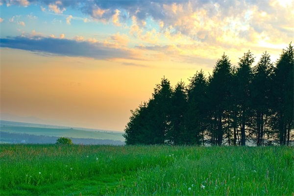 祝愿打牌的句子(合集152句)
