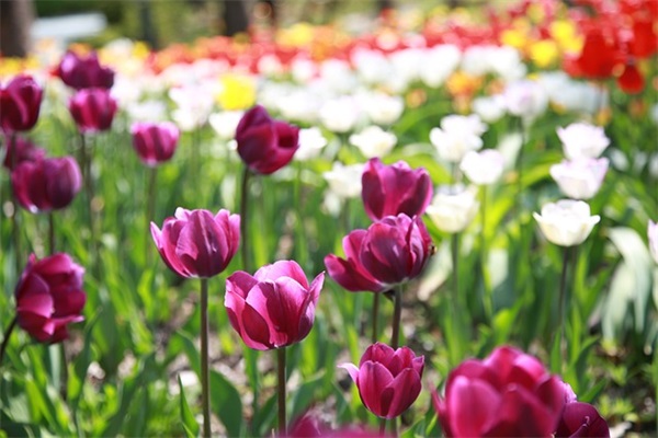 5月20号的朋友圈句子，句句精辟(精选100句)